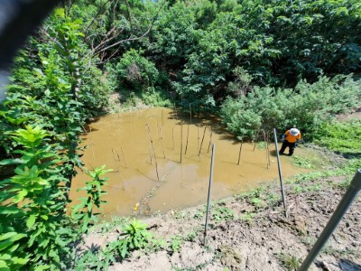 埤塘棲地營造成果(林業保育署新竹分署提供)